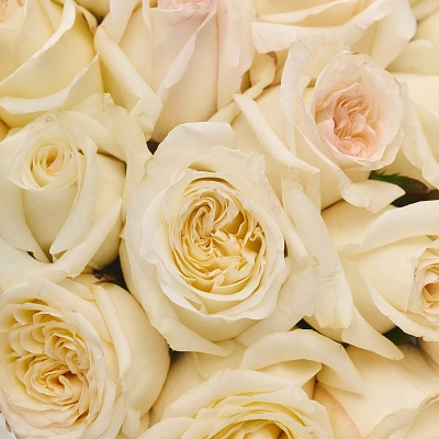 Монобукет из лимонных роз Candelight